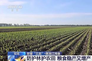 球场被白雪覆盖！记者：拜仁和柏林联合本轮的德甲比赛已经取消